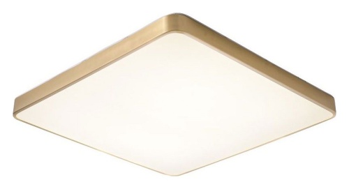 Накладной светильник Zortes Monna ZRS.1209.07 в Нижнем Новгороде фото 11