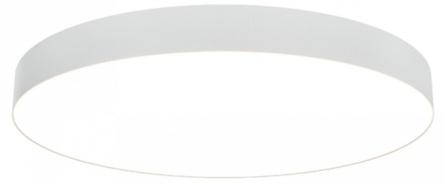 Накладной светильник Maytoni Zon C032CL-L96W3K в Нижнем Новгороде