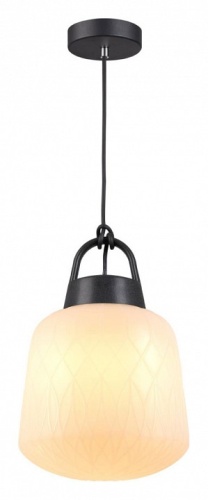 Подвесной светильник Novotech Conte 370601 в Нижнем Новгороде фото 5