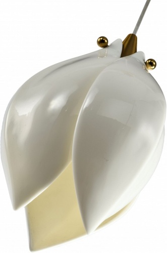 Подвесной светильник Zortes Dalin ZRS.90609.01 в Нижнем Новгороде фото 3