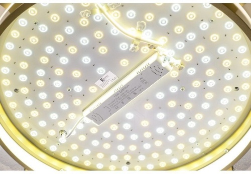 Накладной светильник Zortes Gerda ZRS.1097.60 в Нижнем Новгороде фото 8