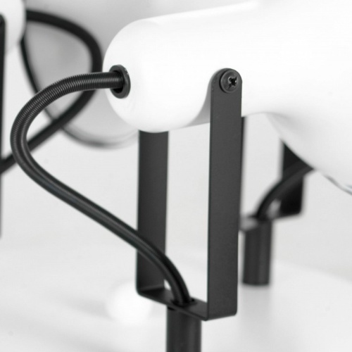 Потолочная люстра Lussole Fargo LSP-8803 в Нижнем Новгороде фото 3