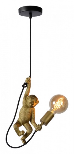 Подвесной светильник Lucide Extravaganza Chimp 10402/01/30 в Сатке фото 3