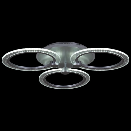 Потолочная люстра 20433-0.3-3+1L SIL в Нижнем Новгороде фото 2