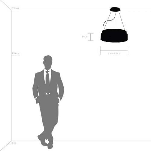 Подвесной светильник Lightstar Nibbler 812126 в Нижнем Новгороде фото 12