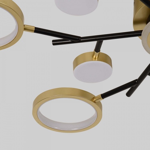 Потолочная люстра F-promo Hybrid 4686-13C в Нижнем Новгороде фото 2