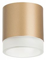 Накладной светильник Lightstar Rullo R349080 в Нижнем Новгороде