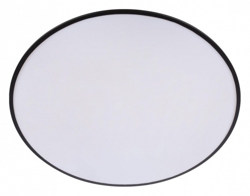 Накладной светильник Loft it Brim 10226 Black в Нижнем Новгороде фото 6