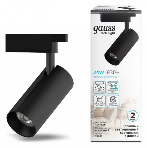 Светильник на штанге Gauss TR TR086 в Нижнем Новгороде фото 3