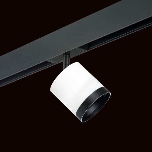 Светильник на штанге Lightstar Rullo PRO34863487 в Нижнем Новгороде фото 4