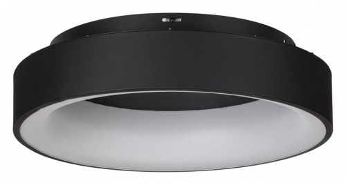 Накладной светильник MyFar Shannon MR2193-1PL в Нижнем Новгороде