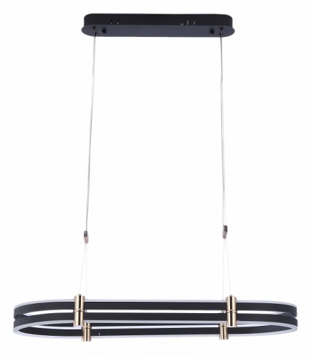 Подвесной светильник Zortes Duble-R ZRS.30505.92 в Нижнем Новгороде фото 4