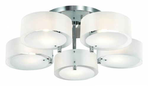 Потолочная люстра EVOLUCE Foresta SL483.502.05 в Нижнем Новгороде