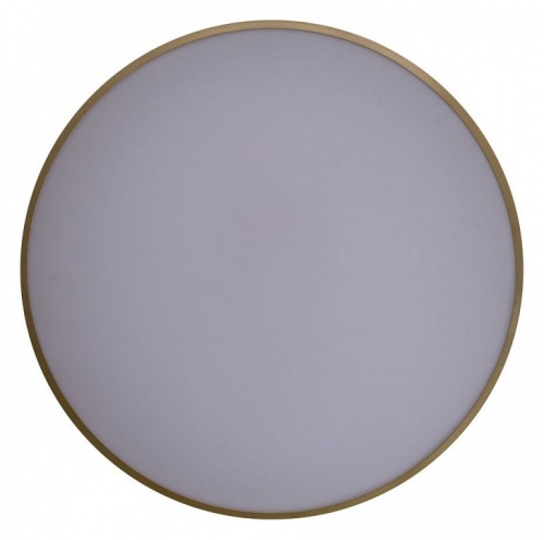 Накладной светильник Zortes Gabby ZRS.90610.50 в Нижнем Новгороде фото 9