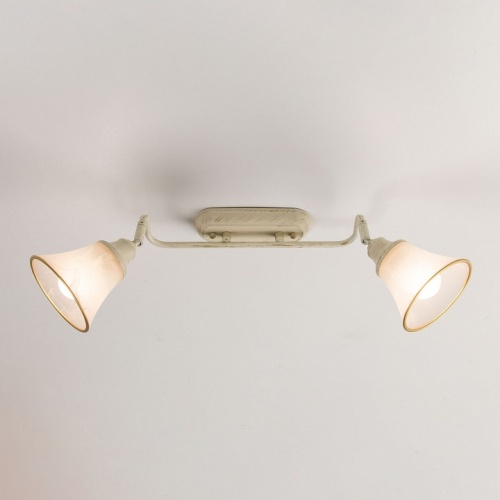 Спот Citilux Прованс CL511524 в Нижнем Новгороде фото 9