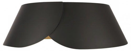 Накладной светильник Loft it Lane 10370 Black в Нижнем Новгороде фото 2