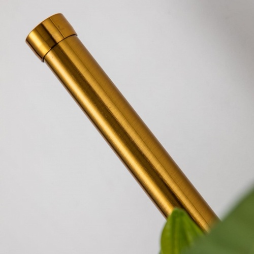 Бра Favourite Greenery 4050-2W в Нижнем Новгороде фото 2