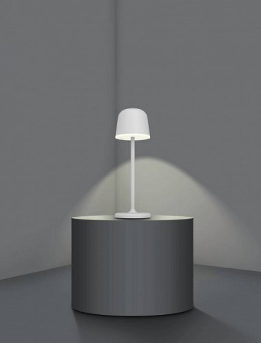 Настольная лампа декоративная Eglo ПРОМО Mannera 900458 в Соколе фото 5