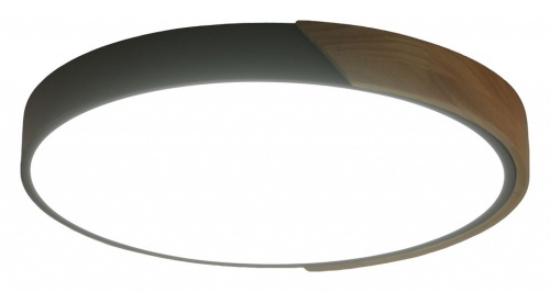 Накладной светильник Zortes Alberro ZRS.01280.24 в Нижнем Новгороде фото 3