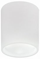 Накладной светильник Lightstar Solido E27 216626 в Нижнем Новгороде