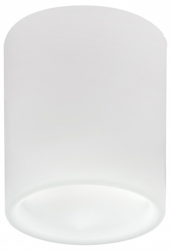 Накладной светильник Lightstar Solido E27 216626 в Нижнем Новгороде