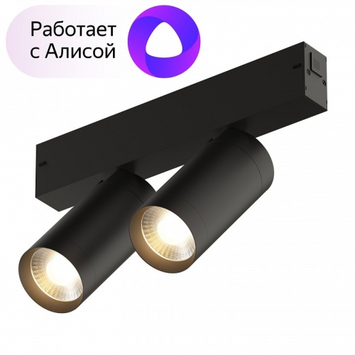 Светильник на штанге Denkirs Smart DK8012-BK в Нижнем Новгороде фото 9