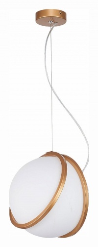 Подвесной светильник ST-Luce Acerra SL1181.353.01 в Нижнем Новгороде фото 3