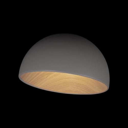 Накладной светильник Loft it Egg 10197/350 Grey в Соколе фото 2