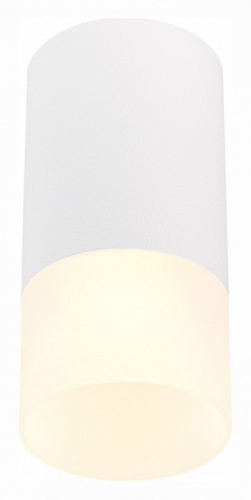 Накладной светильник ST-Luce ST100 ST100.512.01 в Нижнем Новгороде фото 4