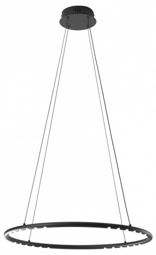 Подвесной светильник Kink Light Магни 08557-60,19 в Нижнем Новгороде фото 2