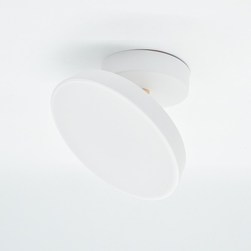 Светильник на штанге Escada 20023LED 20023SMA/01LED WH в Нижнем Новгороде фото 4