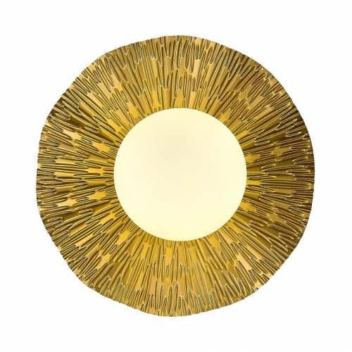 Накладной светильник EVOLUCE Lorea SLE1196-301-01 в Нижнем Новгороде фото 5