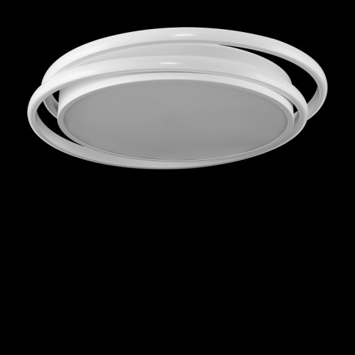 Накладной светильник Freya  FR10031CL-L98W в Нижнем Новгороде фото 4