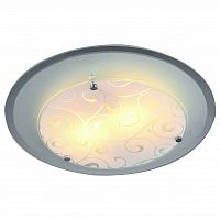 Накладной светильник Arte Lamp Ariel A4806PL-1CC в Выборге