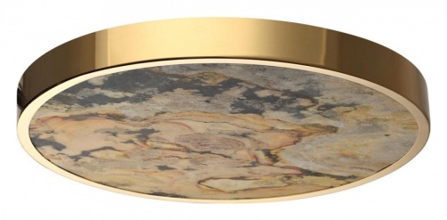 Накладной светильник Odeon Light Bergi 5079/40L в Нижнем Новгороде фото 9