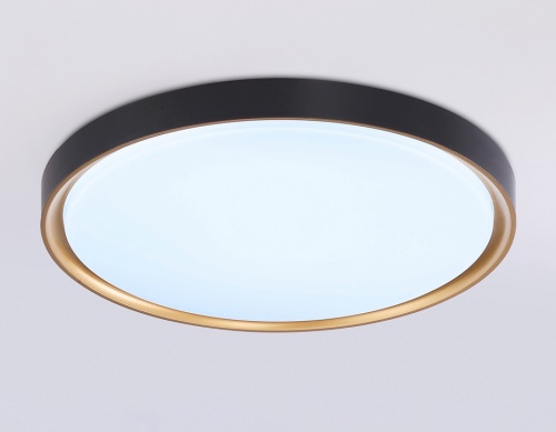 Накладной светильник Ambrella Light FZ FZ1249 в Нижнем Новгороде фото 7