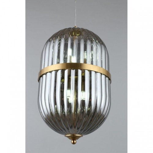 Подвесной светильник Aployt Ludovica APL.860.06.06 в Нижнем Новгороде фото 7