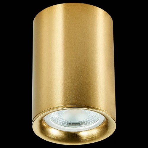 Накладной светильник ST-Luce ST114 ST114.207.01 в Соколе фото 3