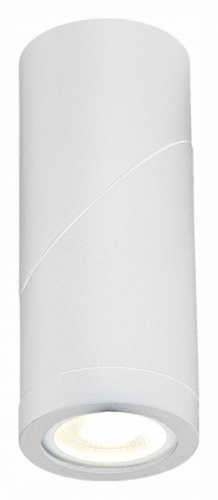 Светильник на штанге ST-Luce ST650 ST650.502.01 в Нижнем Новгороде фото 2