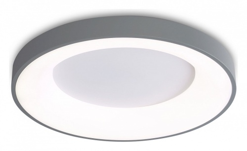 Накладной светильник Ambrella Light FZ FZ1402 в Нижнем Новгороде