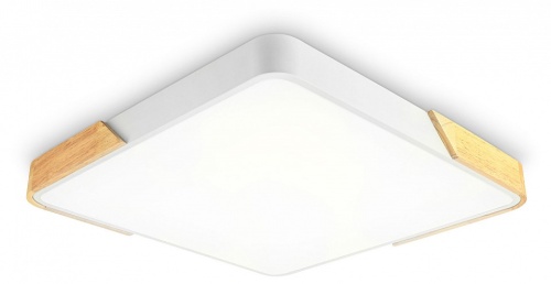 Накладной светильник Ambrella Light FZ FZ1313 в Нижнем Новгороде