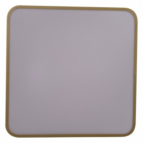 Накладной светильник Zortes Gabby ZRS.1215.03 в Нижнем Новгороде фото 9