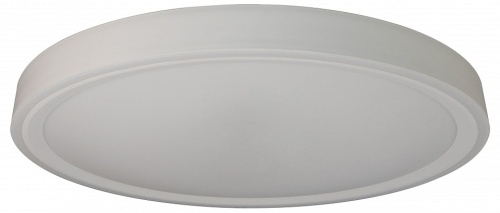 Накладной светильник Zortes Bella ZRS.1200.09 в Нижнем Новгороде фото 3