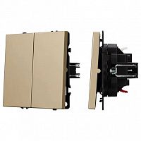 Выключатель двухклавишный без рамки Arlight SWT 054253 в Нижнем Новгороде