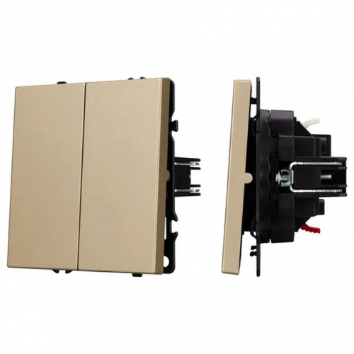 Выключатель двухклавишный без рамки Arlight SWT 054253 в Нижнем Новгороде