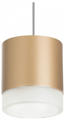 Подвесной светильник Lightstar Rullo RP349080 в Нижнем Новгороде