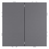 Выключатель двухклавишный без рамки Stekker Эмили 50239 в Нижнем Новгороде