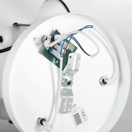 Потолочная люстра Lussole Fargo LSP-8803 в Нижнем Новгороде фото 2