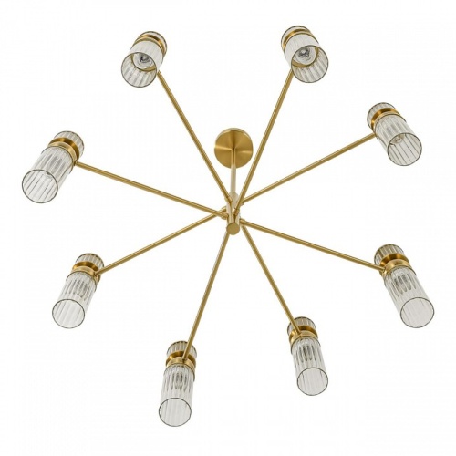 Люстра на штанге Lumion DENVER 8276/8 в Нижнем Новгороде фото 2