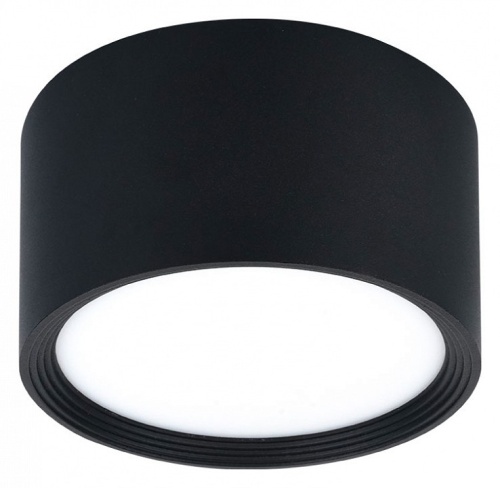 Накладной светильник Escada 20005LED 20005SMU/04LED SBK в Нижнем Новгороде